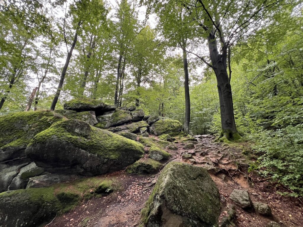 Wald, Haindorf, Hejnice